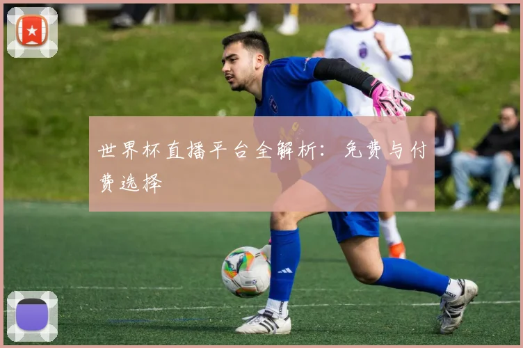世界杯直播平台全解析：免费与付费选择